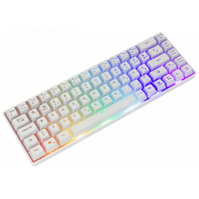 CLAVIER GAMING WHITE SHARK RONIN GK-2201 -CHEZ L'OFFICIEL SHOP
